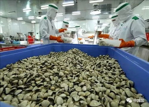 越南新增三种水产品获批输华，种类总数达48种