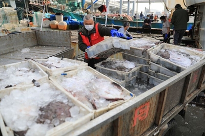 浙江舟山渔民复产 水产码头忙碌卸货
