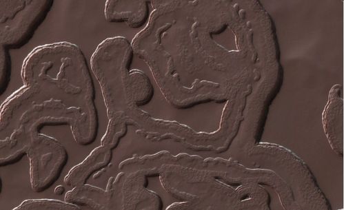 火星惊现“花生先生” MRO拍摄到神秘圆形地貌