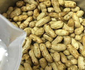 生花生煮多久能熟？烹饪时间与技巧详解