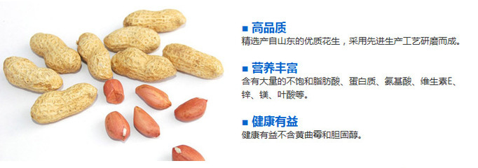 探寻花生酱调味料的醇香之道 从淄博黄河龙生物工程谈起